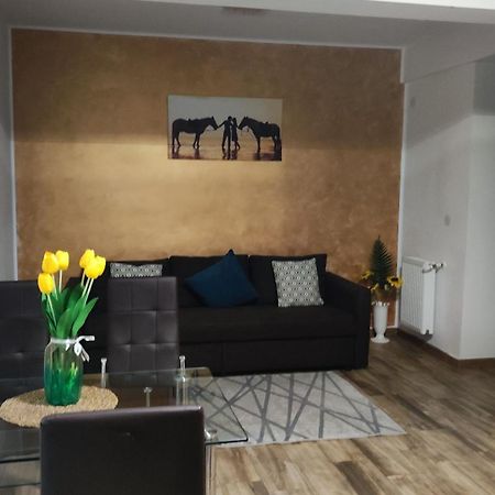 Apartament Lenus'K Lägenhet Bukarest Exteriör bild